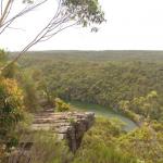 Royal National Park 